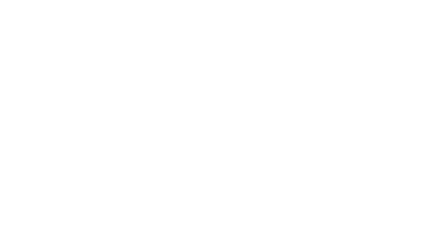 AKE International Risk Analysis