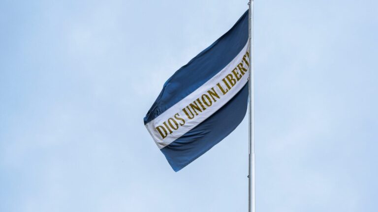 AKE International Risk Analysis